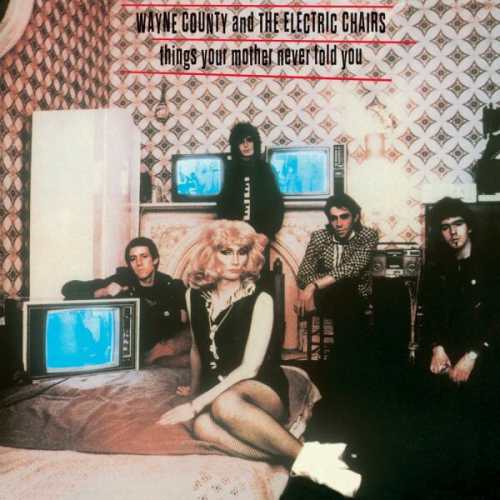 WAYNE COUNTY & ELECTRIC CHAIRS “Things Your Mother Never Told You” LP