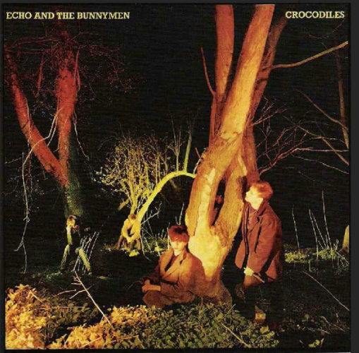 ECHO AND THE BUNNYMEN "Crocodiles" LP