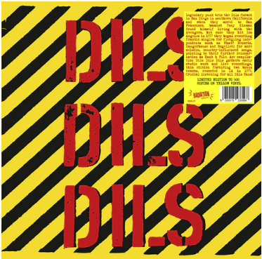 DILS "Dils Dils Dils" LP